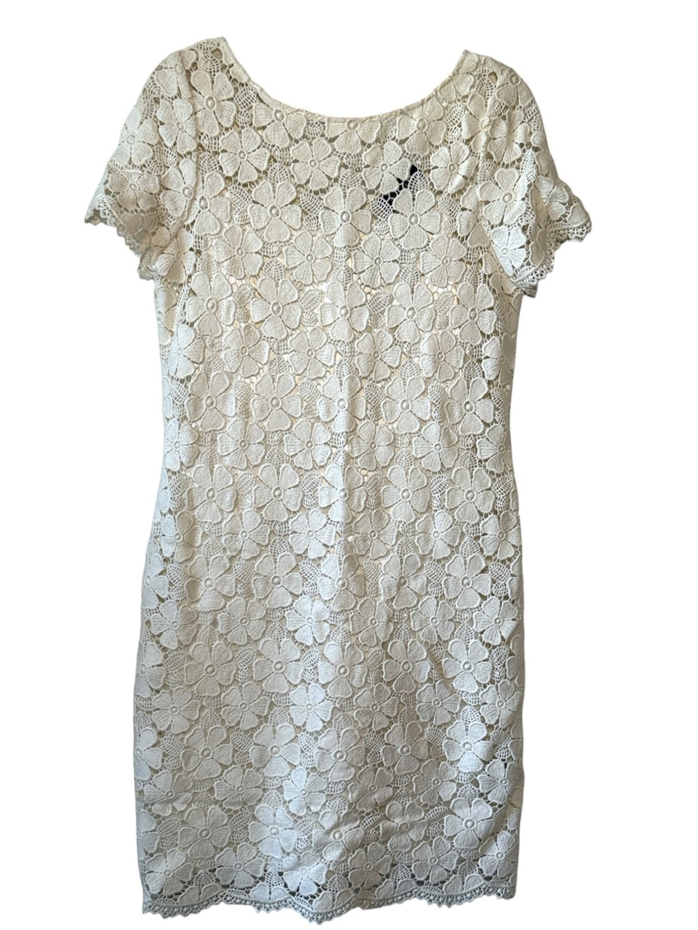 Teri Jon Cream Floral Crochet Midi Dress | Elegant Occasion Dress | Size 10
